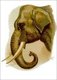 Asia: Indian elephant painted by Helena J. Maguire (1860-1909)